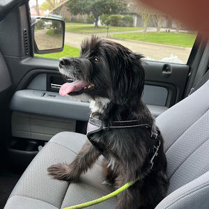 Meet your Posher, Jesse